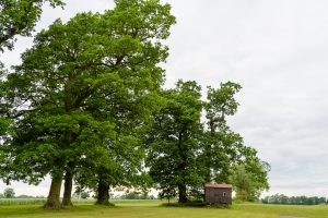 Red Barn - (C)AJFeatherPhotography-The Red Barn-224